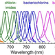 Illustration for article titled The Quest to Re-Invent Photosynthesis Just Got More Colorful